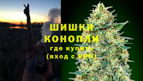 бошки Богородицк
