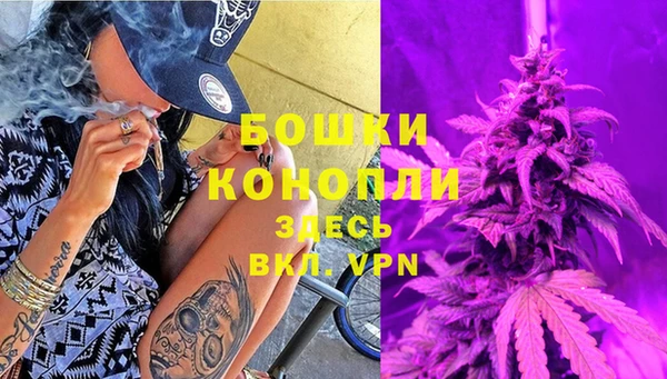 бошки Богородицк