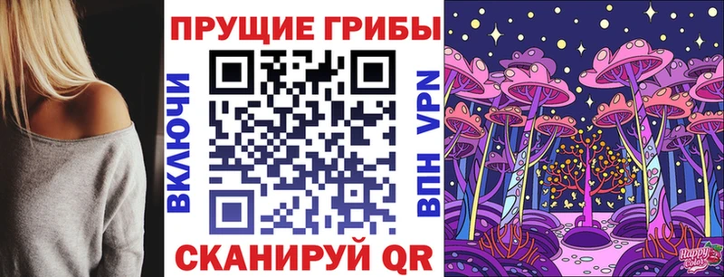 Псилоцибиновые грибы Psilocybe  Дмитров 